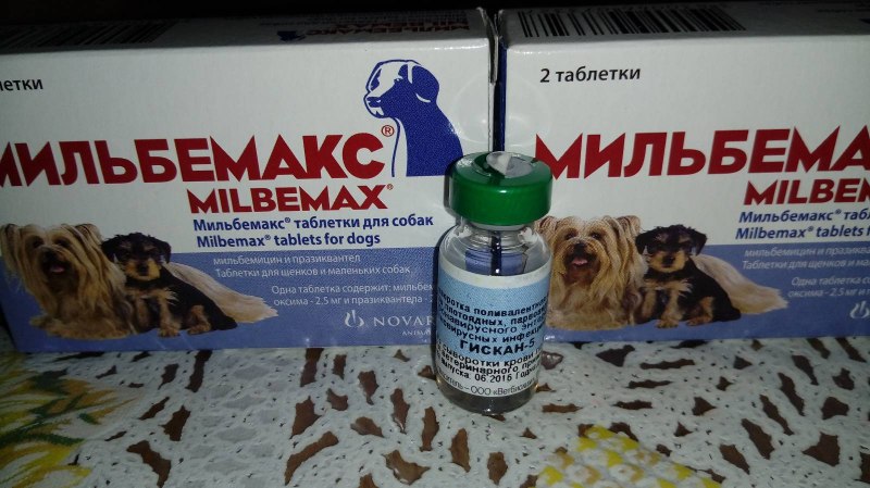 Мильбемакс для собак суспензия
