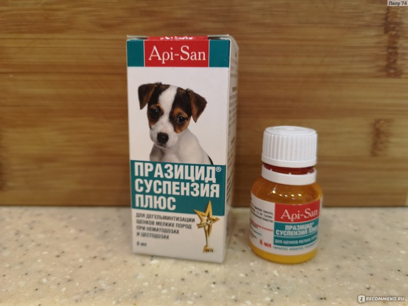 Суспензия от глистов для собак мелких пород Празицид