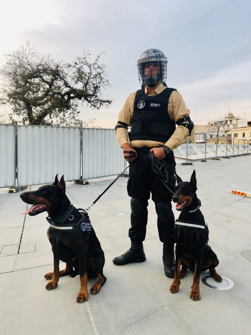 Доберман k9