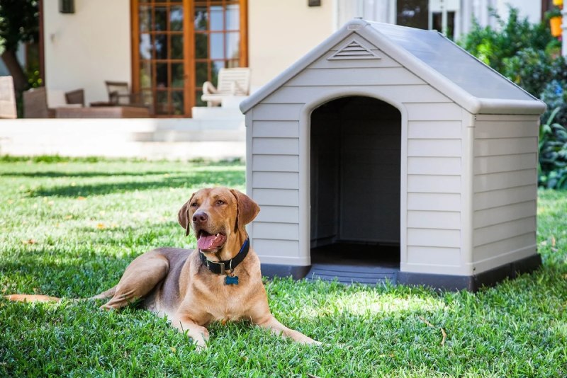 Keter Dog House