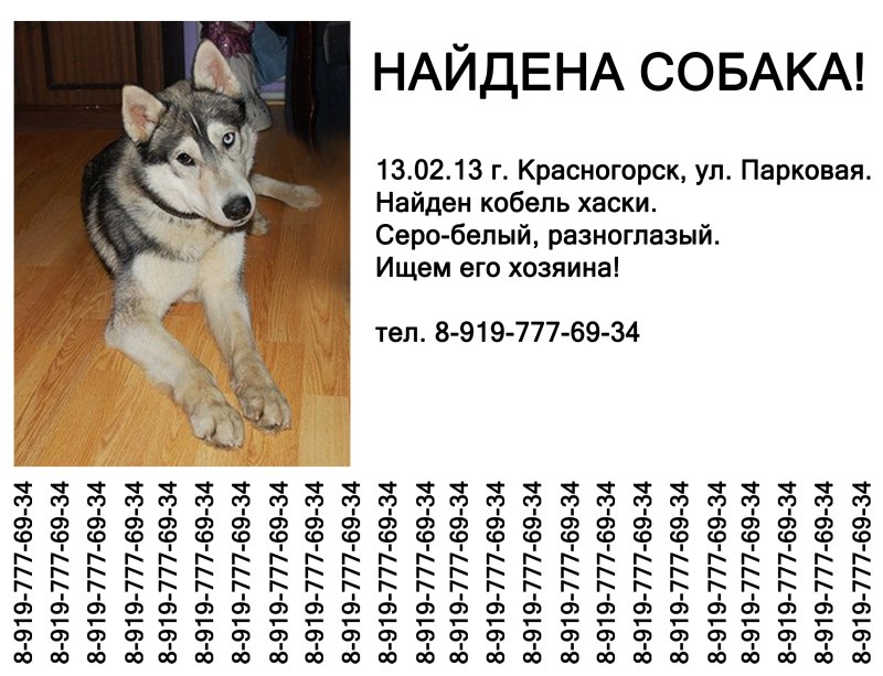 Вес кобеля хаски