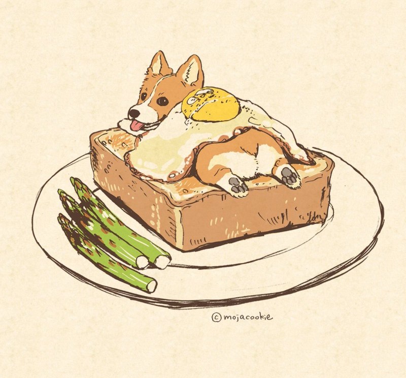Корги пемброк
