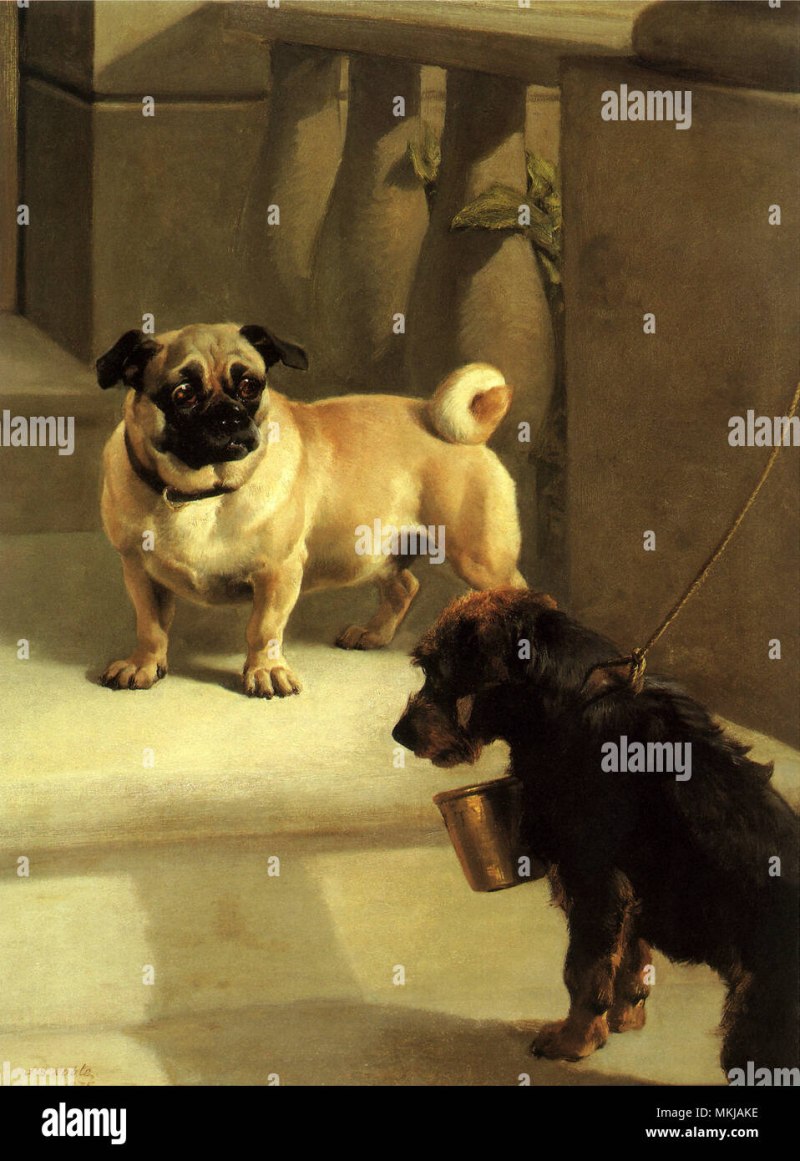 A Breed Apart Felix