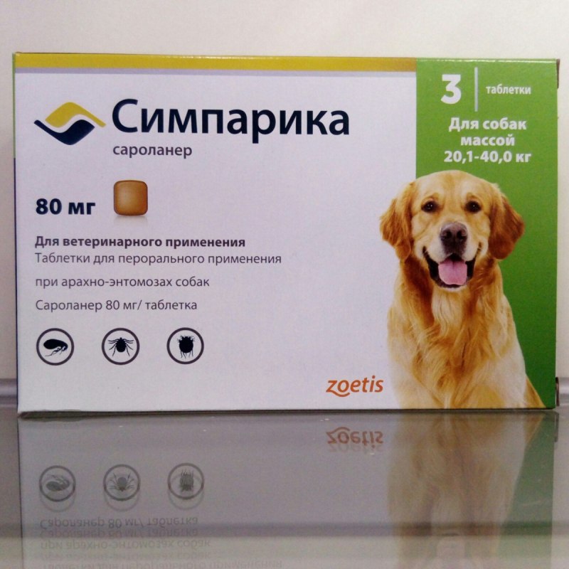 Йоркширский терьер у врача