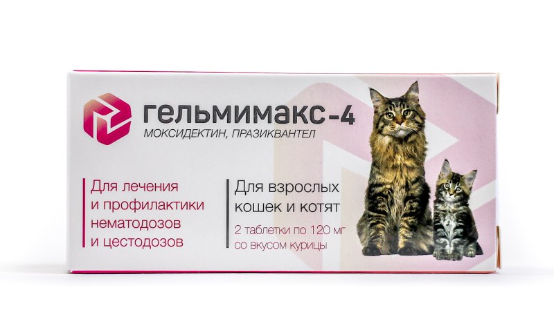 Спот он для собак