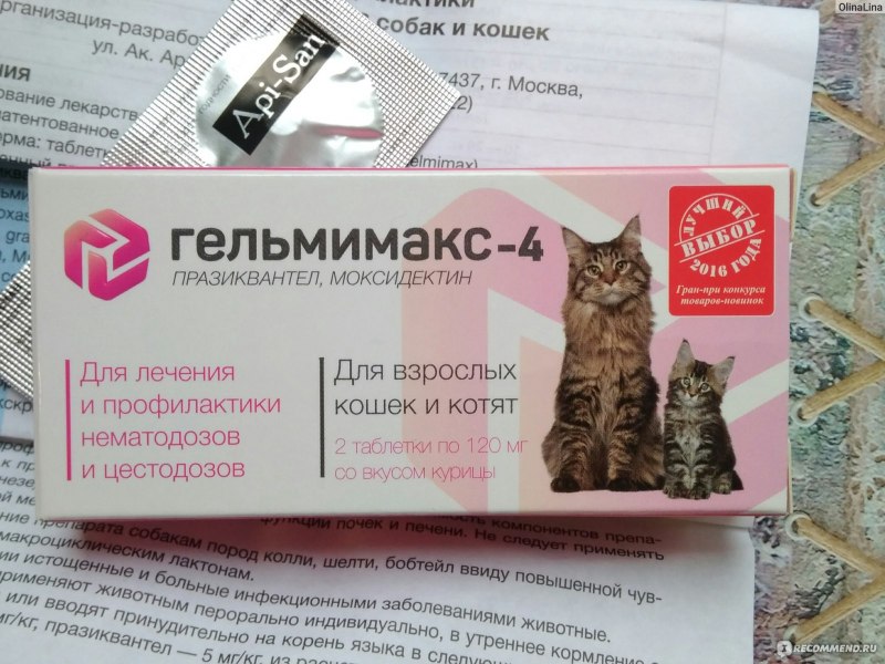 Дог и дог ветеринарная клиника