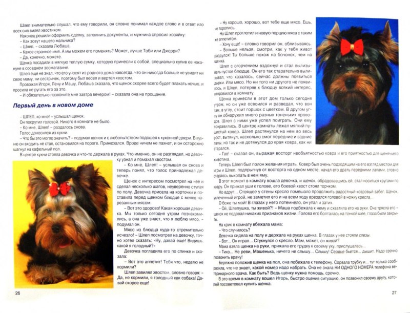 Список для Йорка