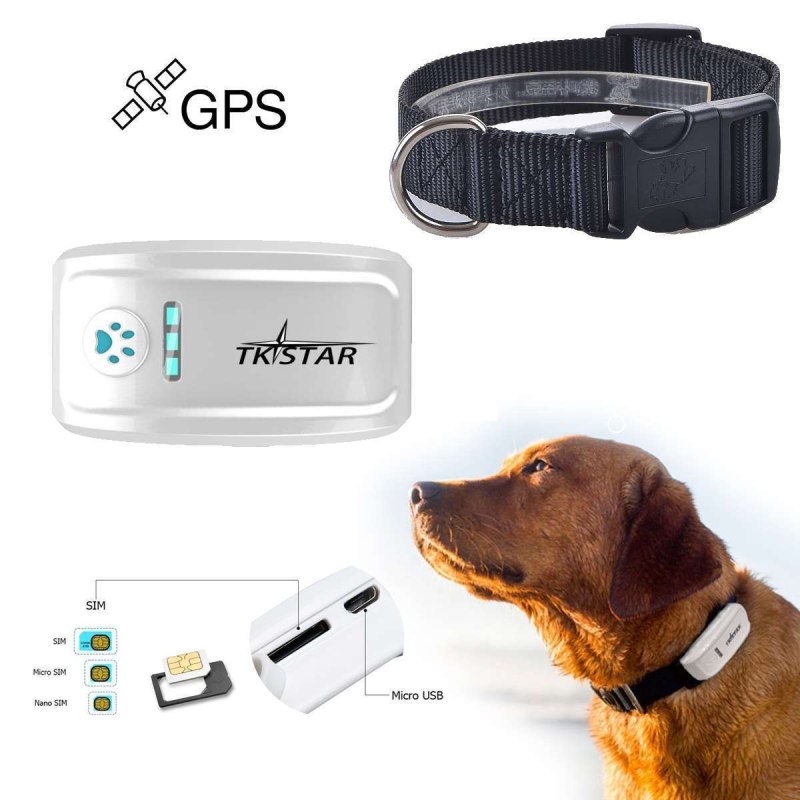 GPS трекер tk-909 для животных