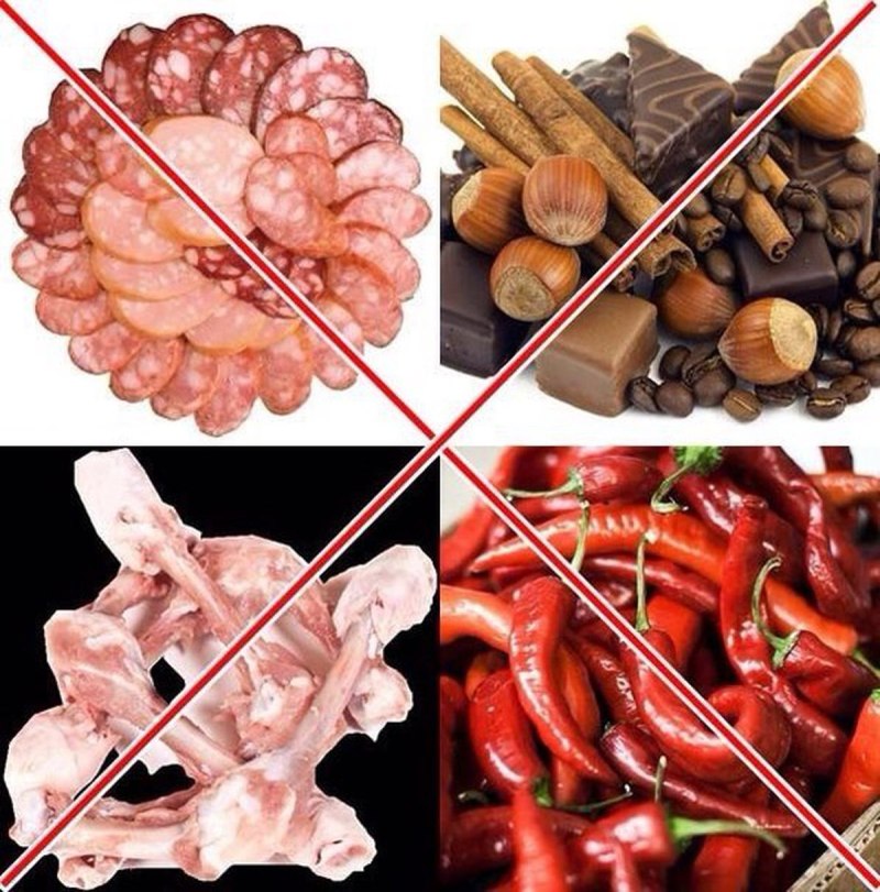Куриные субпродукты для собак