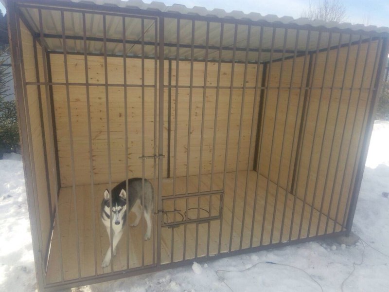 Вольер для хаски своими