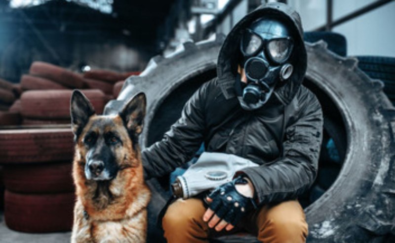 Противогаз для собак