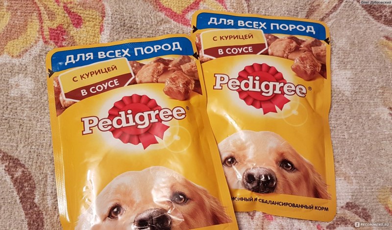 Собака Педигри порода