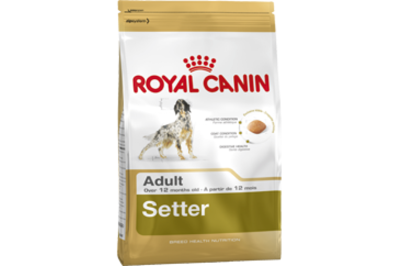 Сухой корм Royal Canin Jack Russell Terrier Adult для взрослых собак 500г 156005