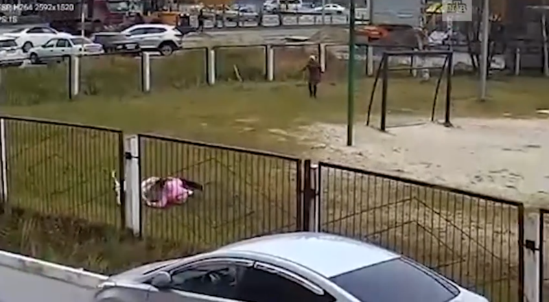 Собака охраняет дом