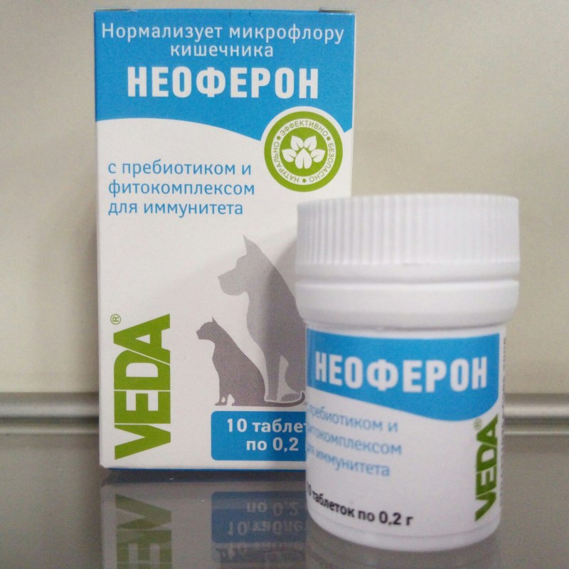 Препараты для микрофлоры