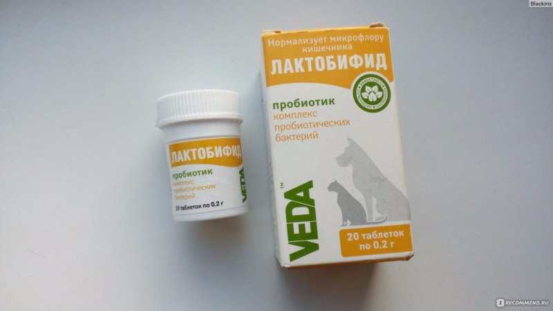 Пробиотик ветеринарный