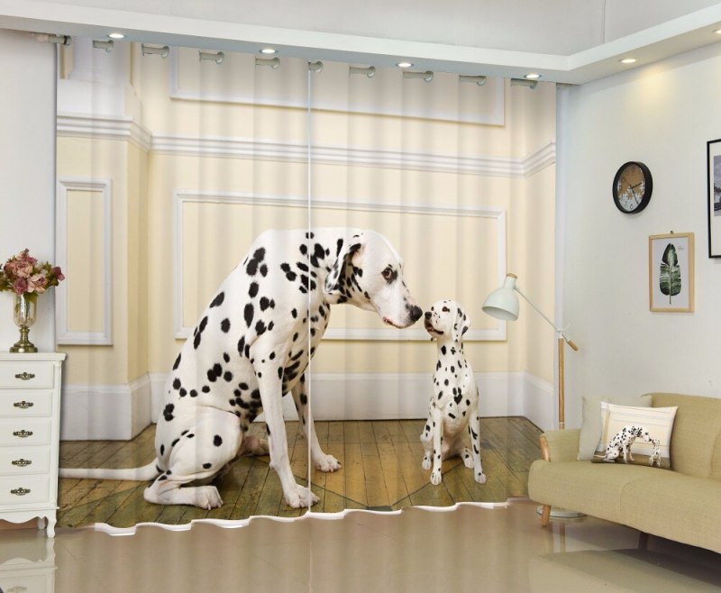 Curtain Dog