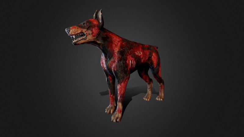 Доберман 3d model