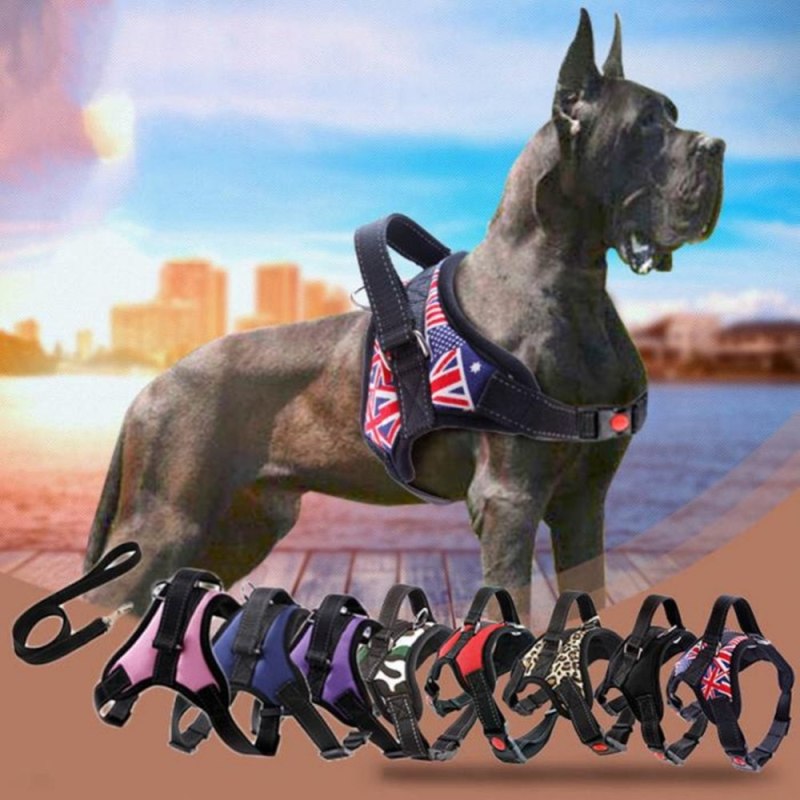 Поводок для собак Rogz Fancy Dress Armed response XL