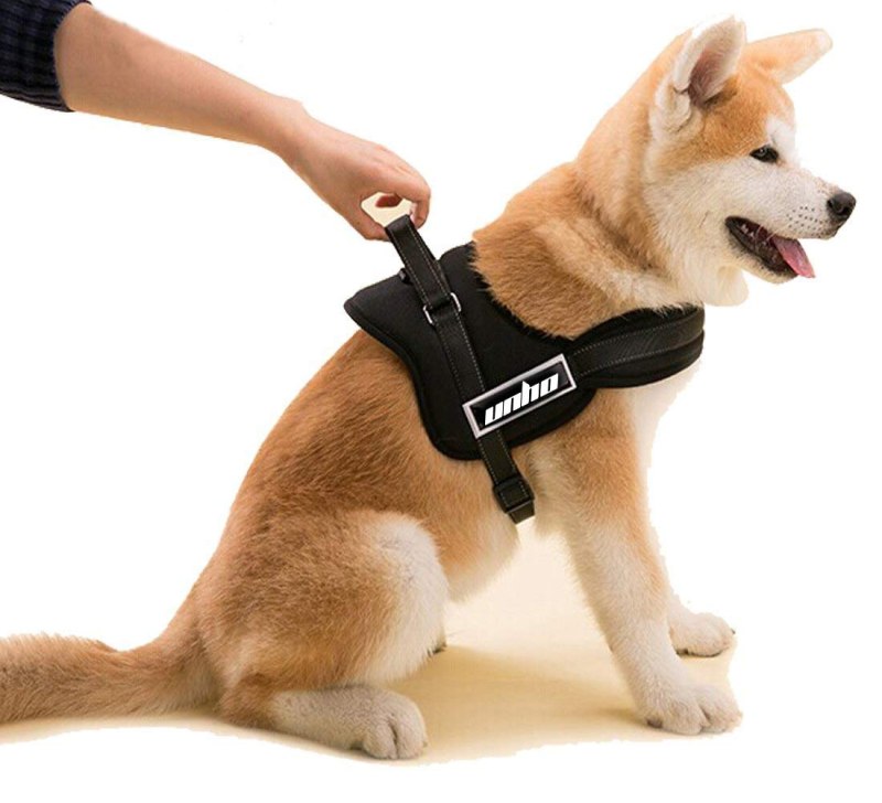 Шлейка Akita