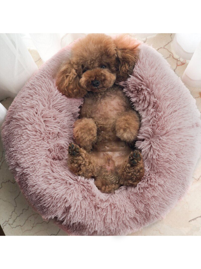 Лежак для собак Trixie Bonzo 120х80 см