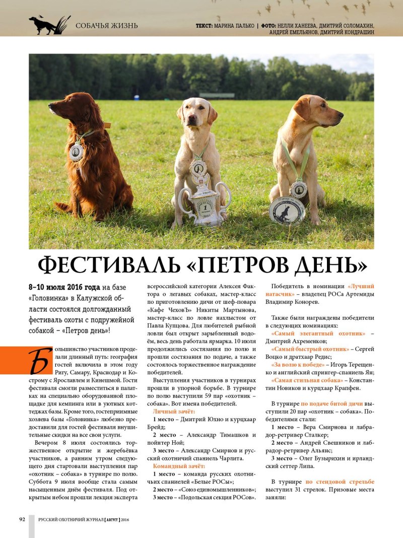 Классы собак по возрасту