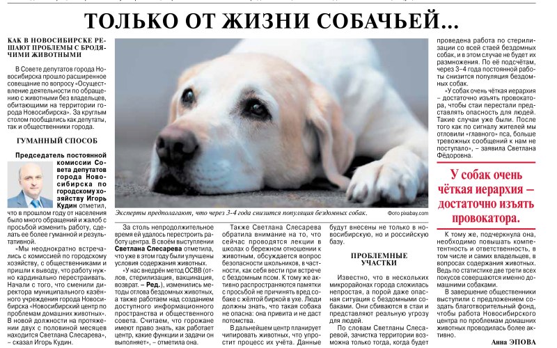 Только от жизни собачьей собака