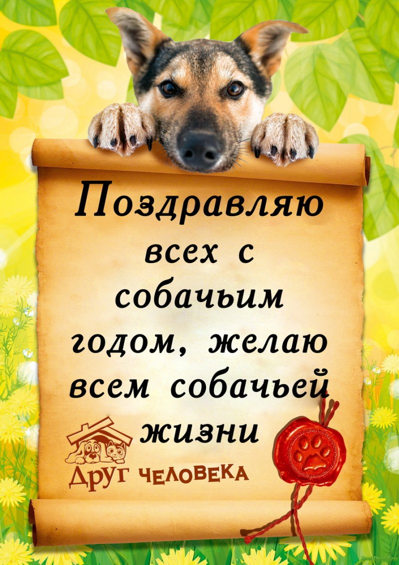 Собачья жизнь Итон