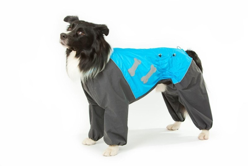 Платье для собак happypuppy Молли XL