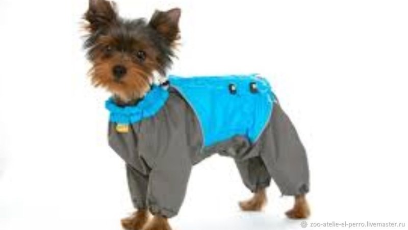 Дождевики FORMYDOGS для черного терьера