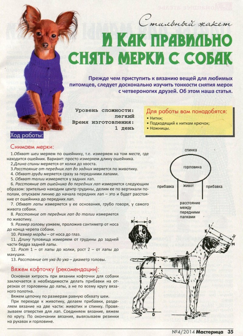 Схема собаки для снятия мерок