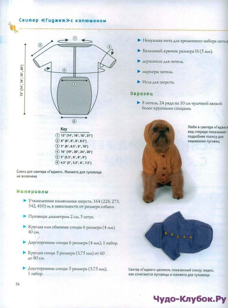 Схема одежды для собак спицами