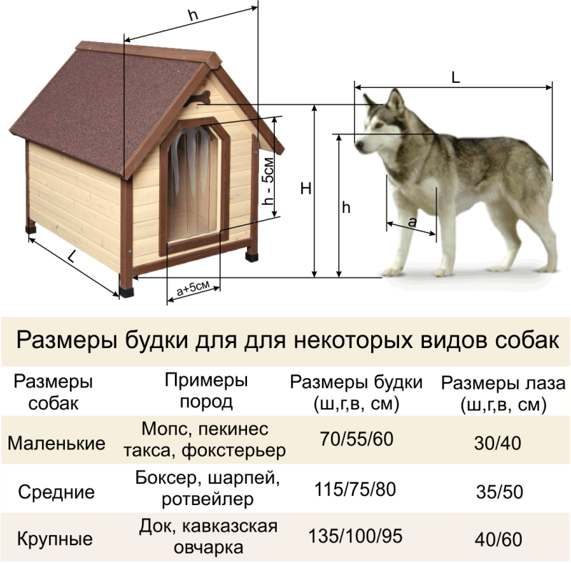 Габариты будки для алабая