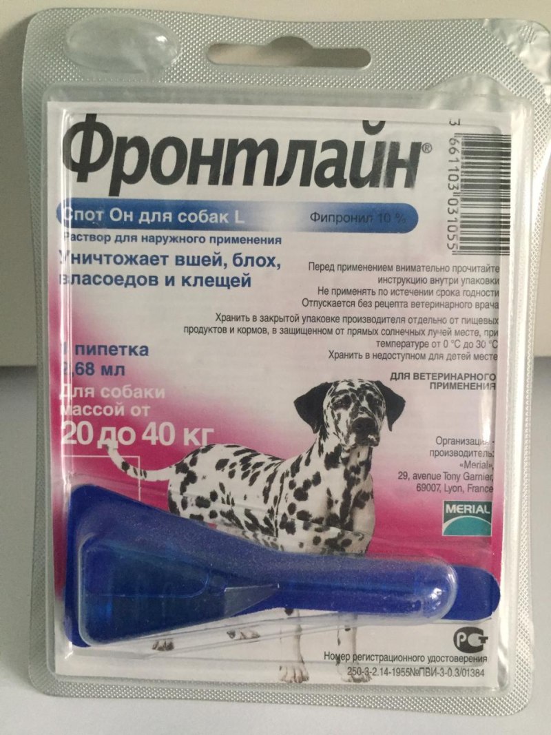 Фронтлайн движение