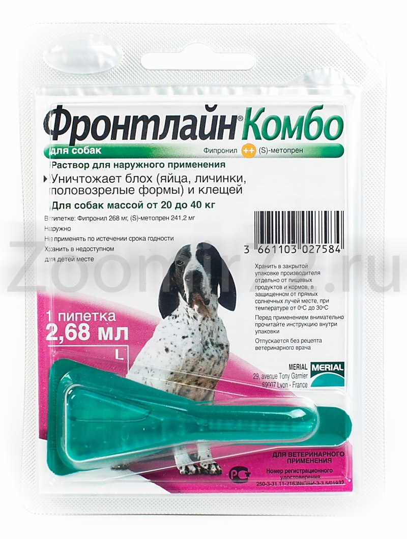 Фронтлайн Эстония