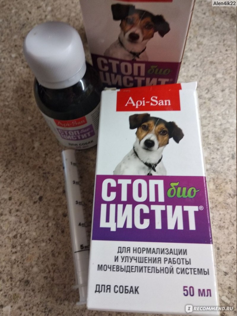 Стоп цистит суспензия АПИ Сан