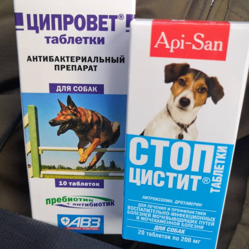 Таблетки при цистите у собак