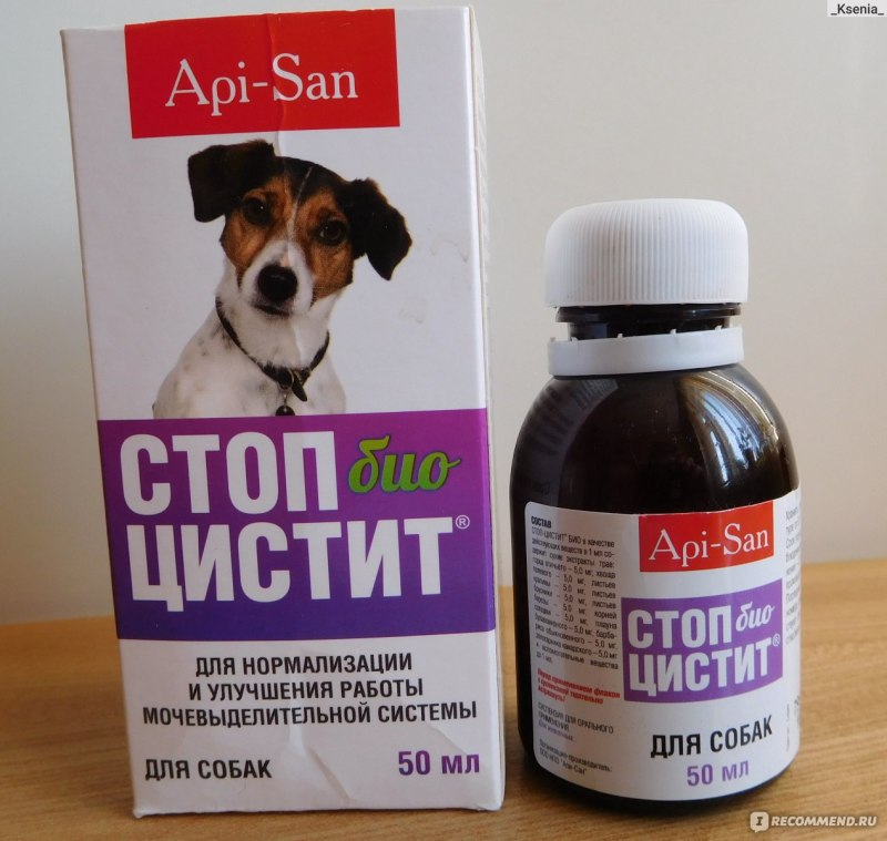 Стоп цистит суспензия