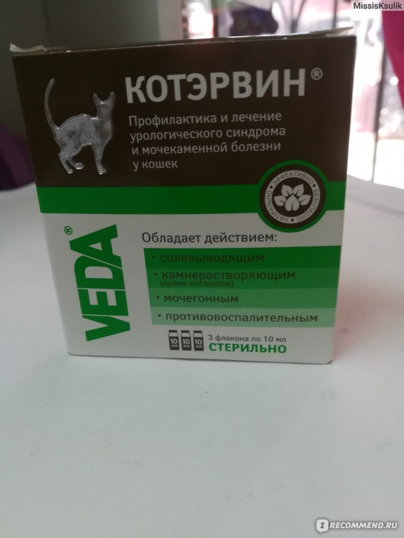 Пироплазмоз у собак симптомы