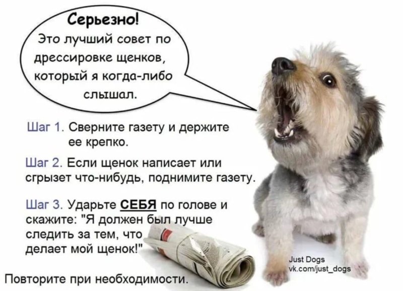 Запрещающие знаки животные
