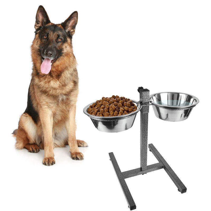 Eukanuba Senior