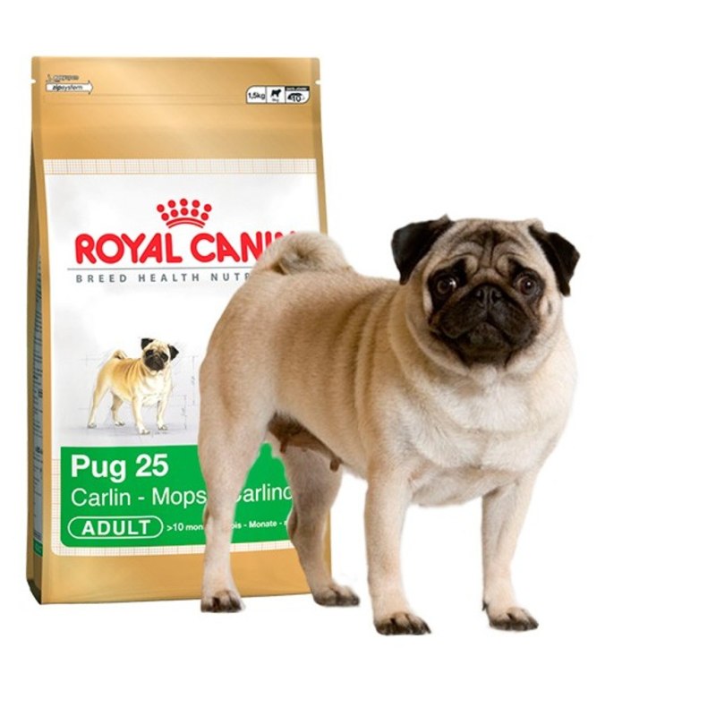 Royal Canin для МОПСА