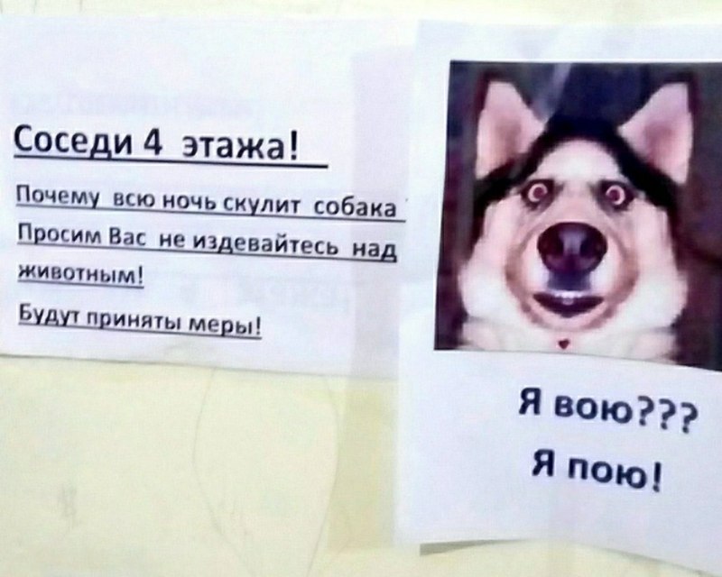 Собака воет во сне