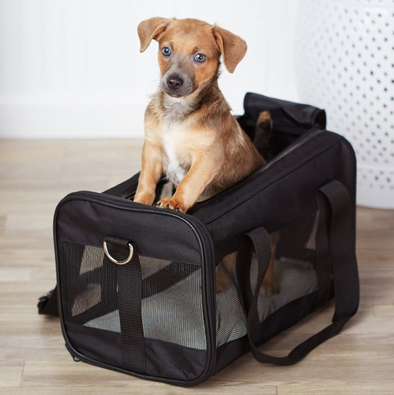 Pet Carrier переноска мягкая