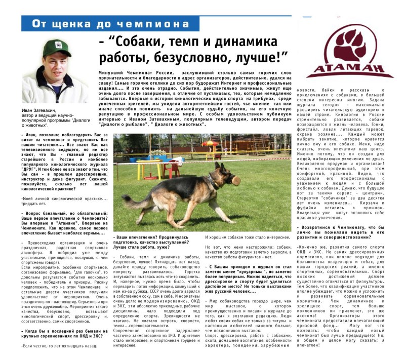 Дрессировка собак