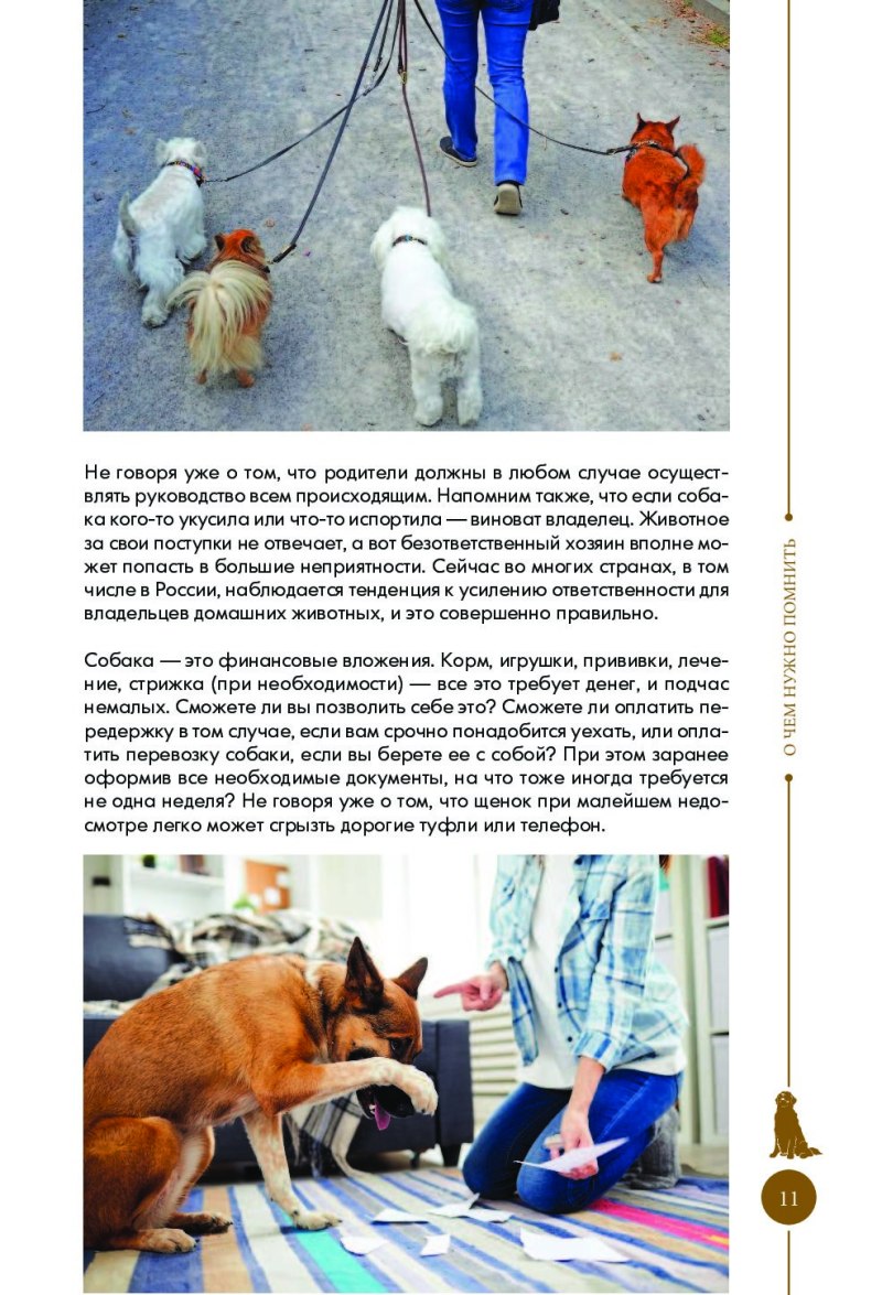 Начальная дрессировка щенка с чего начинать