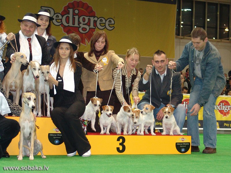 World Dog show Poland - Poznań 10.11.2006