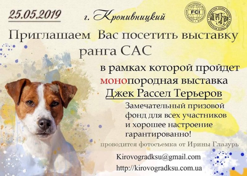 Диплом с выставки Джек Рассел