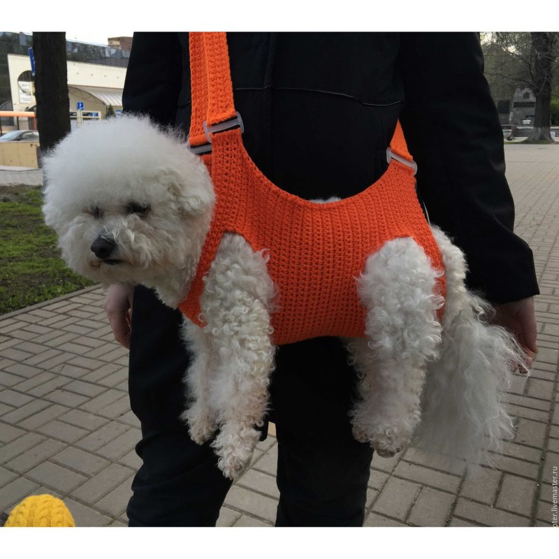 Кофта для собаки