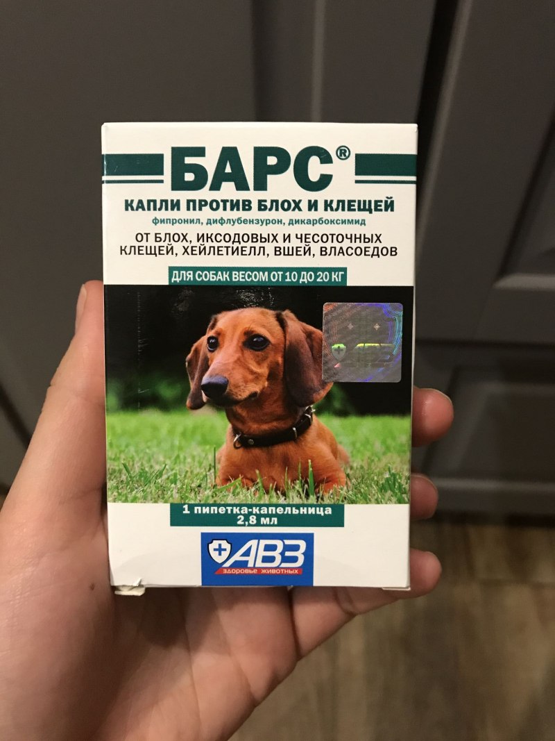 Барс для собак